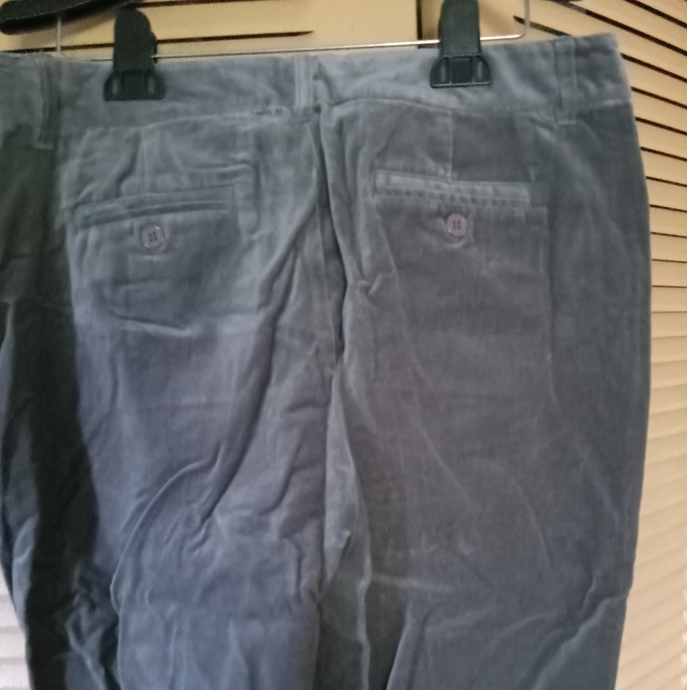 Boston design pants - Picture 4 of 5